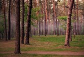 世界体能恢复公益课堂技能认证在线考试首批合格名单公布，世界体能大赛