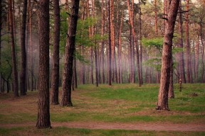 世界体能恢复公益课堂技能认证在线考试首批合格名单公布，世界体能大赛