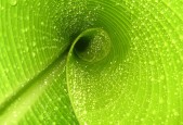 世界体能恢复公益课堂产学研合作示范项目成果展播，国际体能训练