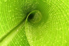 世界体能恢复公益课堂产学研合作示范项目成果展播，国际体能训练