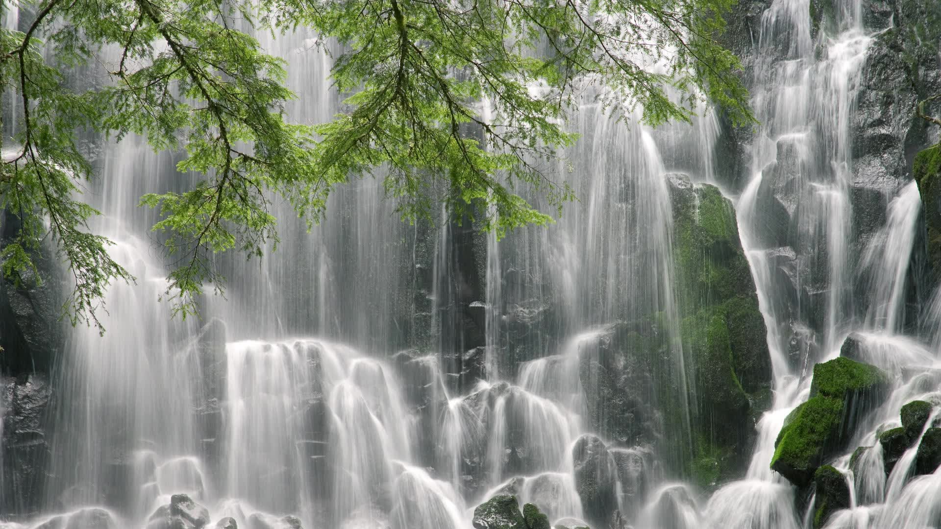 世界举重公开赛争议成绩经复核确认,世界举重锦标赛